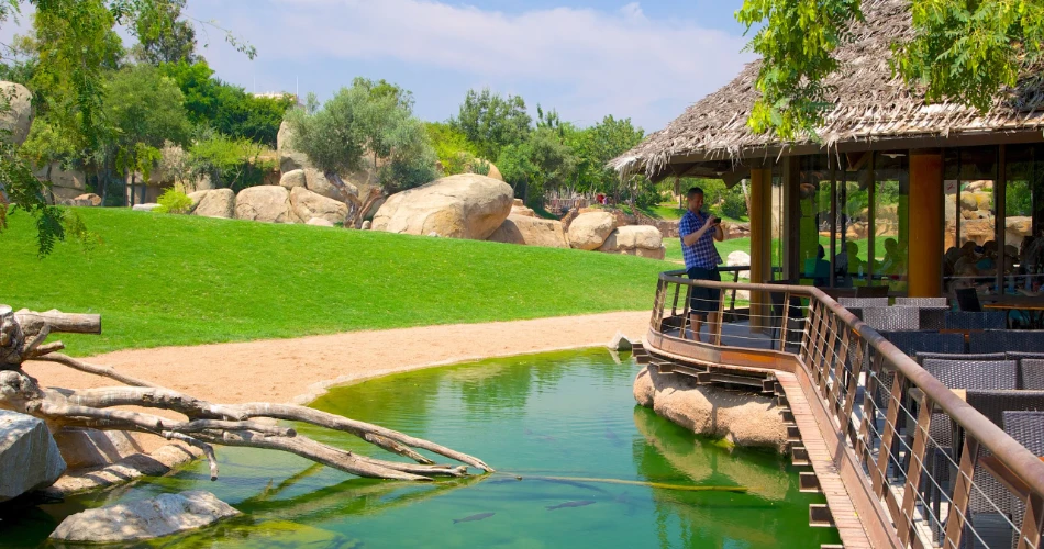 Top Things to Do in Valencia, Spain: A Mediterranean Gem of Culture, Cuisine & Charm